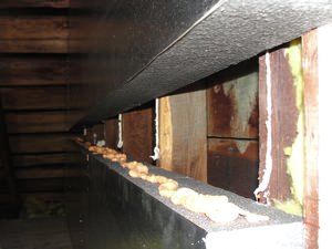 An effective attic insulation system in a Gloucester home