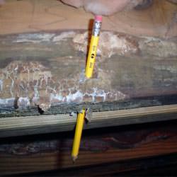 A floor joist with severe mold damage in Goochland
