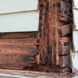 termite damaged wood in a Toano crawl space