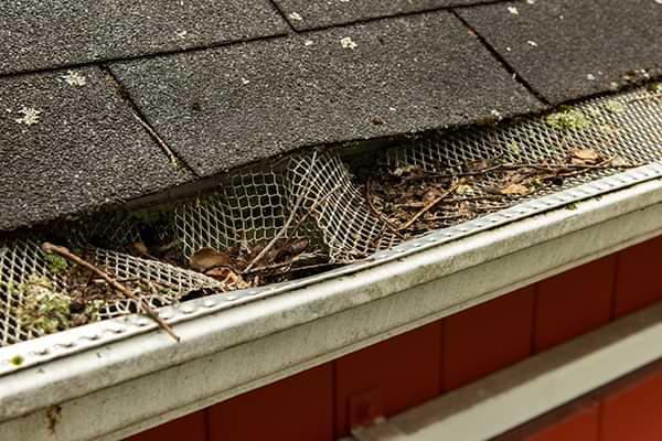 Greater Williamsburg clogged gutters