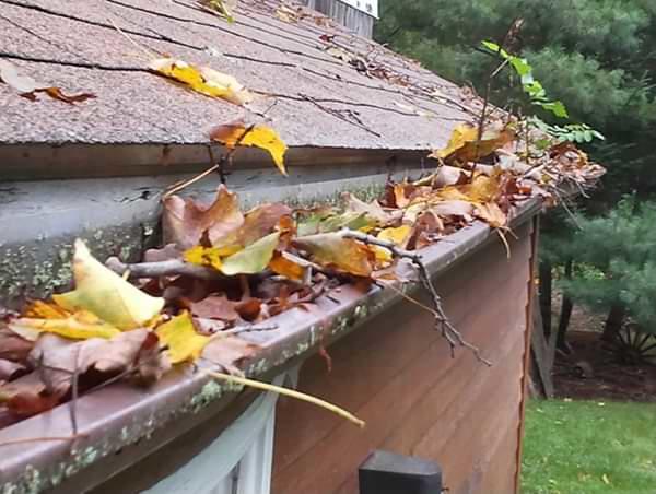 Yorktown clogged gutters
