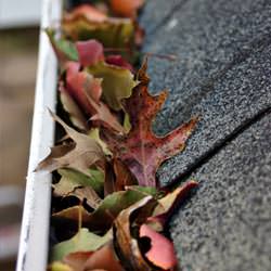 Clogged gutters filled with fall leaves  in White Stone